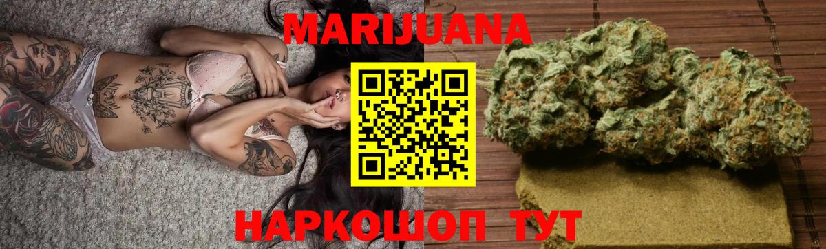 Каннабис сатива Тверь